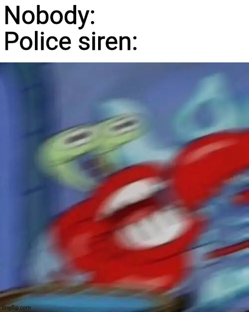 Mr krabs blur | Nobody:
Police siren: | image tagged in mr krabs blur,memes,police,noise | made w/ Imgflip meme maker