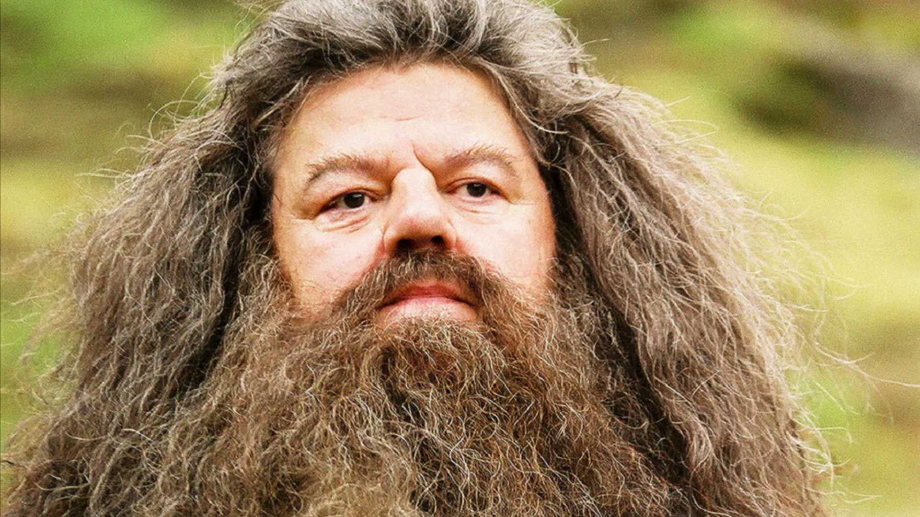 hagrid beard Blank Meme Template