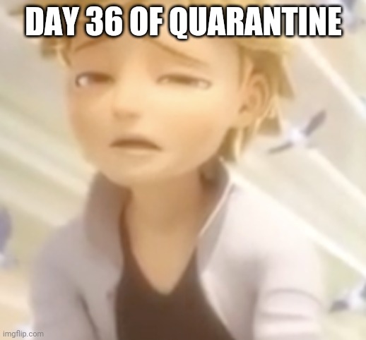 when its Monday | DAY 36 OF QUARANTINE | image tagged in when its monday,coronavirus,quarantine,so bored,so true memes,funny memes | made w/ Imgflip meme maker