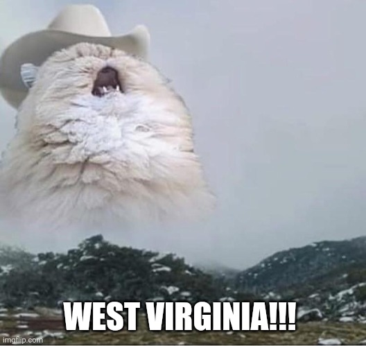 Country Roads Cat | WEST VIRGINIA!!! | image tagged in country roads cat | made w/ Imgflip meme maker