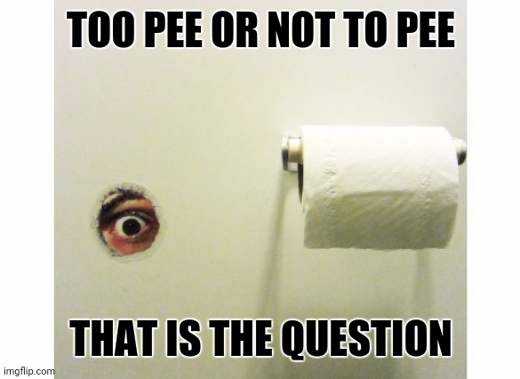 Hmmm | TOO PEE OR NOT TO PEE; THAT IS THE QUESTION | image tagged in bathroom peeping tom | made w/ Imgflip meme maker