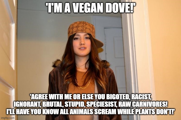 Scumbag Stephanie  | 'I'M A VEGAN DOVE!'; 'AGREE WITH ME OR ELSE YOU BIGOTED, RACIST, IGNORANT, BRUTAL, STUPID, SPECIESIST, RAW CARNIVORES! I'LL HAVE YOU KNOW ALL ANIMALS SCREAM WHILE PLANTS DON'T!' | image tagged in scumbag stephanie,vegan,hypocrisy,stupidity,bullshit,vegan logic | made w/ Imgflip meme maker