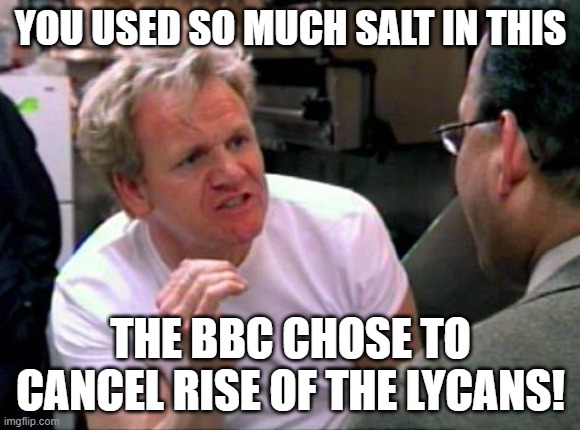 Werewolves hate salt apparently | YOU USED SO MUCH SALT IN THIS; THE BBC CHOSE TO CANCEL RISE OF THE LYCANS! | image tagged in gordon ramsay,underworld,werewolf,wolves,angry chef gordon ramsay,chef ramsay | made w/ Imgflip meme maker
