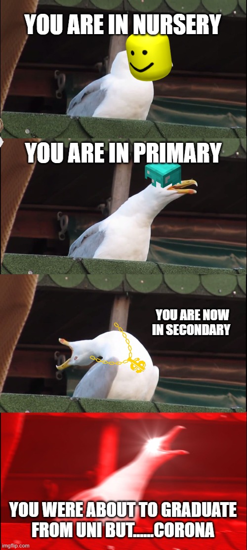 Conona is anoying | YOU ARE IN NURSERY; YOU ARE IN PRIMARY; YOU ARE NOW IN SECONDARY; YOU WERE ABOUT TO GRADUATE FROM UNI BUT......CORONA | image tagged in memes,inhaling seagull | made w/ Imgflip meme maker