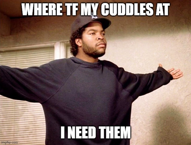 Ice Cube cuddle | WHERE TF MY CUDDLES AT; I NEED THEM | image tagged in ice cube cuddle | made w/ Imgflip meme maker