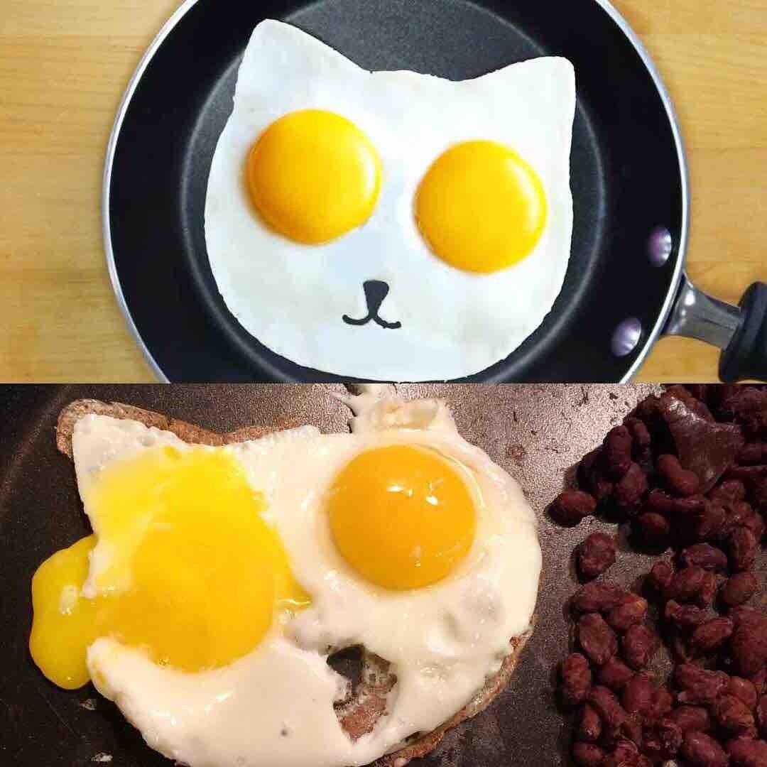 High Quality Fried Egg Cat Broken Blank Meme Template