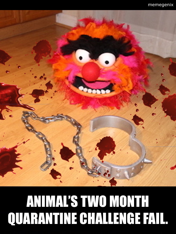Animal's-Two-Month-Quarantine-Challenge-Fail Blank Meme Template