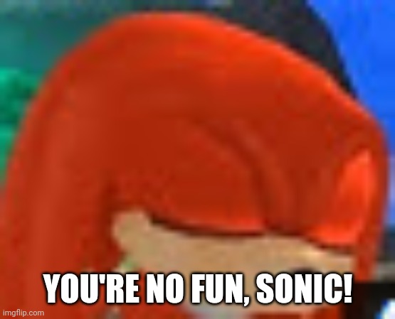 knuckles | YOU'RE NO FUN, SONIC! | image tagged in knuckles | made w/ Imgflip meme maker