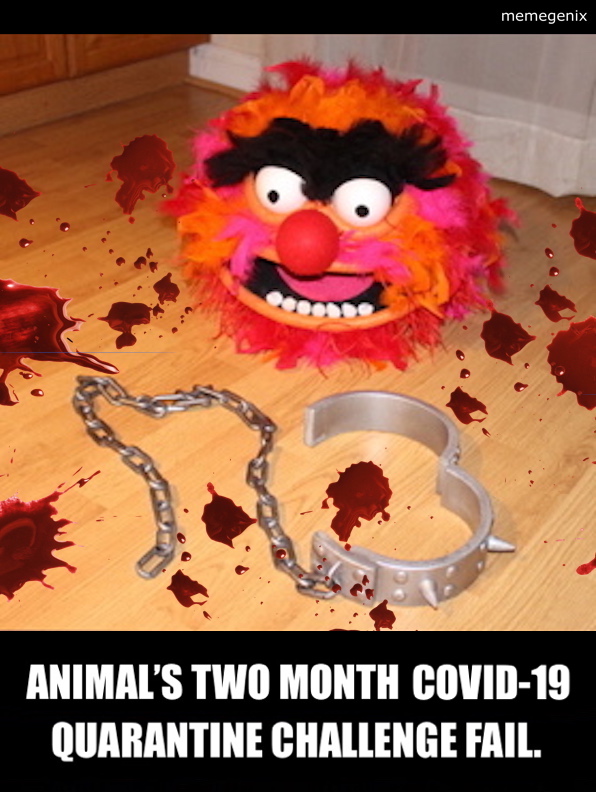 High Quality Animal's-Two-Month-Covid-19-Quarantine-Challenge-Fail Blank Meme Template