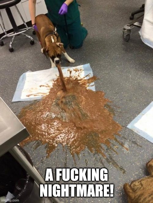 dog vomit | A F**KING NIGHTMARE! | image tagged in dog vomit | made w/ Imgflip meme maker