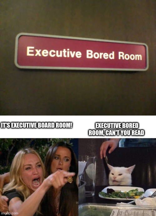 EXECUTIVE BORED ROOM, CAN'T YOU READ; IT'S EXECUTIVE BOARD ROOM! | image tagged in memes,woman yelling at cat | made w/ Imgflip meme maker