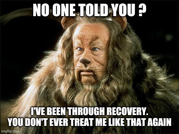cowardly lion | NO ONE TOLD YOU ? I'VE BEEN THROUGH RECOVERY.
YOU DON'T EVER TREAT ME LIKE THAT AGAIN | image tagged in cowardly lion | made w/ Imgflip meme maker
