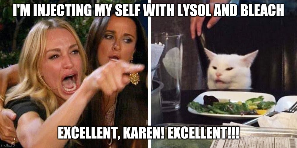 Smudge the cat | I'M INJECTING MY SELF WITH LYSOL AND BLEACH; EXCELLENT, KAREN! EXCELLENT!!! | image tagged in smudge the cat | made w/ Imgflip meme maker