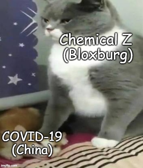 The entire time.. | Chemical Z 
(Bloxburg); COVID-19
(China) | image tagged in big cat stomping small cat | made w/ Imgflip meme maker