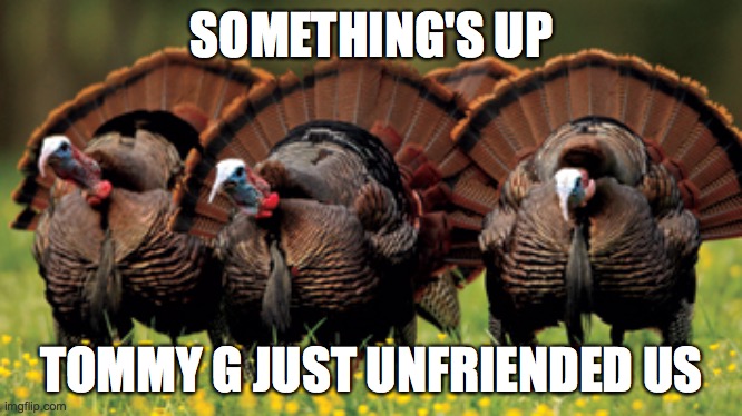 turkey | SOMETHING'S UP; TOMMY G JUST UNFRIENDED US | image tagged in turkey | made w/ Imgflip meme maker