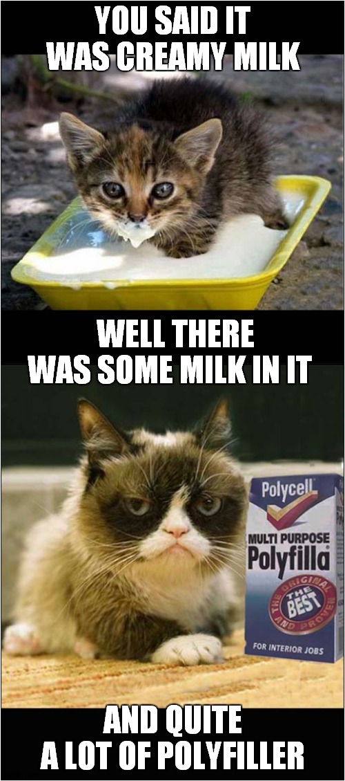 Grumpys Unique Use Of Polyfilla | YOU SAID IT WAS CREAMY MILK; WELL THERE WAS SOME MILK IN IT; AND QUITE A LOT OF POLYFILLER | image tagged in fun,grumpy cat | made w/ Imgflip meme maker