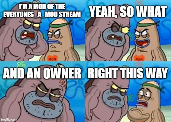 How Tough Are You Meme | YEAH, SO WHAT; I'M A MOD OF THE EVERYONES_A_MOD STREAM; AND AN OWNER; RIGHT THIS WAY | image tagged in memes,how tough are you | made w/ Imgflip meme maker