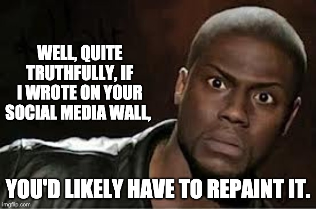 The wall | WELL, QUITE TRUTHFULLY, IF I WROTE ON YOUR SOCIAL MEDIA WALL, YOU'D LIKELY HAVE TO REPAINT IT. | image tagged in that look | made w/ Imgflip meme maker