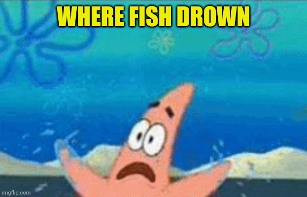 WHERE FISH DROWN | made w/ Imgflip meme maker