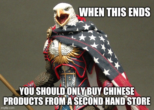 Support local American owned businesses |  WHEN THIS ENDS; YOU SHOULD ONLY BUY CHINESE PRODUCTS FROM A SECOND HAND STORE | image tagged in patriotic defender eagle of america,support local american owned stores,be the solution,support small business,buy american,chin | made w/ Imgflip meme maker