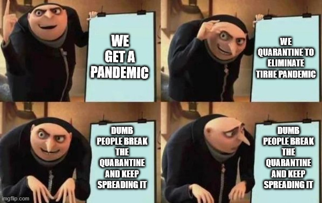 pandemic! | WE GET A PANDEMIC; WE QUARANTINE TO ELIMINATE TIRHE PANDEMIC; DUMB PEOPLE BREAK THE QUARANTINE AND KEEP SPREADING IT; DUMB PEOPLE BREAK THE QUARANTINE AND KEEP SPREADING IT | image tagged in gru's plan | made w/ Imgflip meme maker