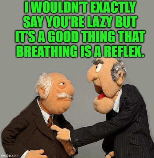 being put down in a nice sort of way |  I WOULDN’T EXACTLY SAY YOU'RE LAZY BUT IT’S A GOOD THING THAT BREATHING IS A REFLEX. | image tagged in lazy,joke,kewlew | made w/ Imgflip meme maker