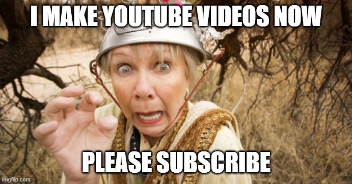 Crazy Woman | I MAKE YOUTUBE VIDEOS NOW; PLEASE SUBSCRIBE | image tagged in crazy woman | made w/ Imgflip meme maker