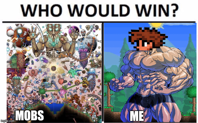 Terraria meme | MOBS; ME | image tagged in memes,who would win | made w/ Imgflip meme maker