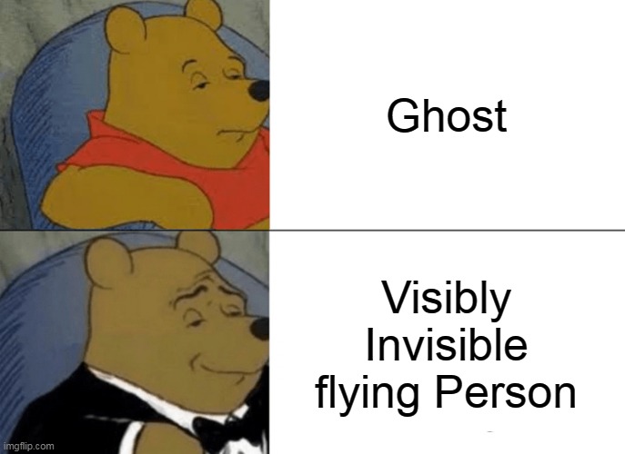 Visibly Invisible flying ghost | Ghost; Visibly Invisible flying Person | image tagged in memes,tuxedo winnie the pooh,funny | made w/ Imgflip meme maker