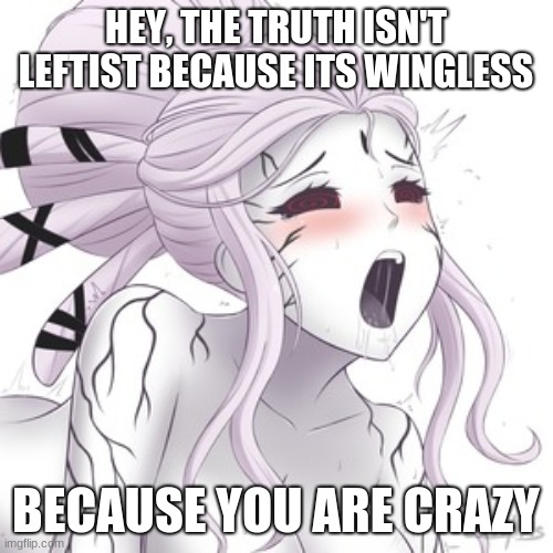 HEY, THE TRUTH ISN'T LEFTIST BECAUSE ITS WINGLESS BECAUSE YOU ARE CRAZY | made w/ Imgflip meme maker