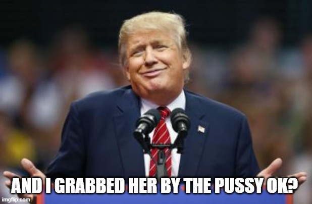 trump smirk | AND I GRABBED HER BY THE PUSSY OK? | image tagged in trump smirk | made w/ Imgflip meme maker