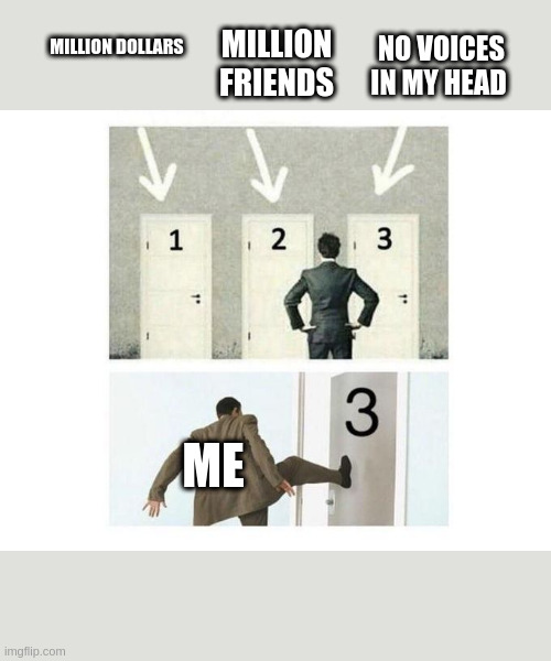 lol | MILLION FRIENDS; NO VOICES IN MY HEAD; MILLION DOLLARS; ME | image tagged in 3 doors | made w/ Imgflip meme maker