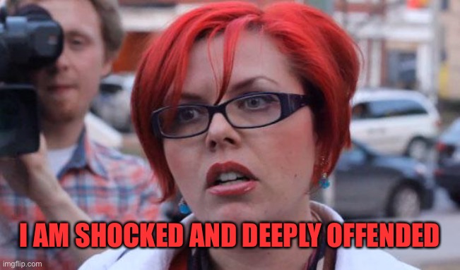 Angry Feminist | I AM SHOCKED AND DEEPLY OFFENDED | image tagged in angry feminist | made w/ Imgflip meme maker