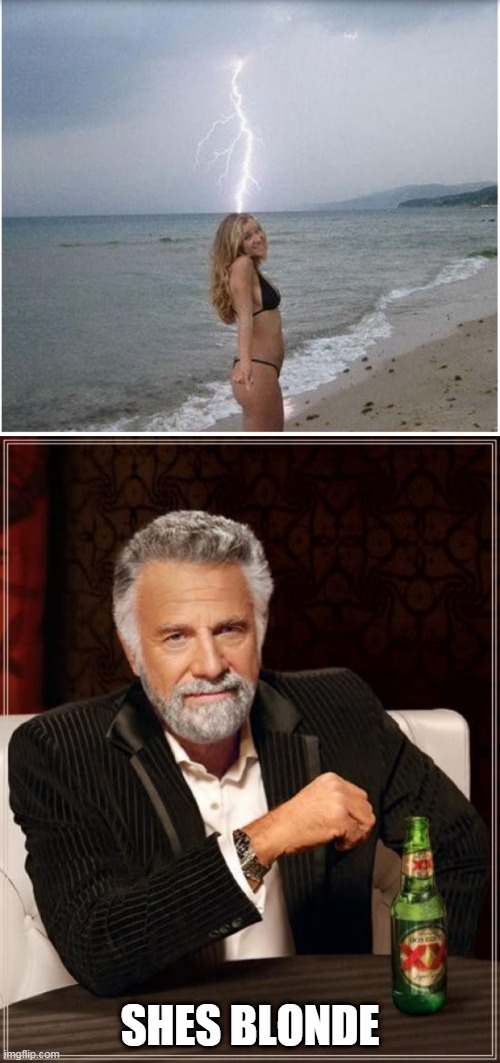 lightning must be attracted to air heads | SHES BLONDE | image tagged in memes,the most interesting man in the world | made w/ Imgflip meme maker