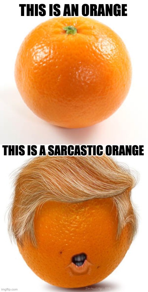 2020 Elections | THIS IS AN ORANGE; THIS IS A SARCASTIC ORANGE | image tagged in donald trump,republican party,orange,memes,funny,clorox | made w/ Imgflip meme maker