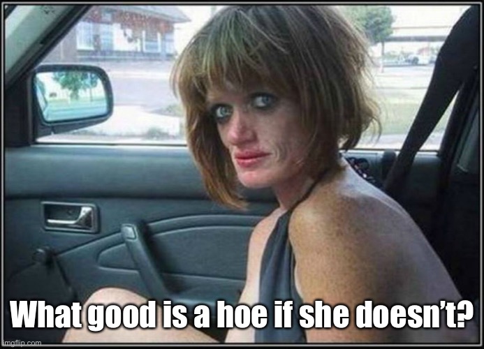 Ugly meth heroin addict Prostitute hoe in car | What good is a hoe if she doesn’t? | image tagged in ugly meth heroin addict prostitute hoe in car | made w/ Imgflip meme maker