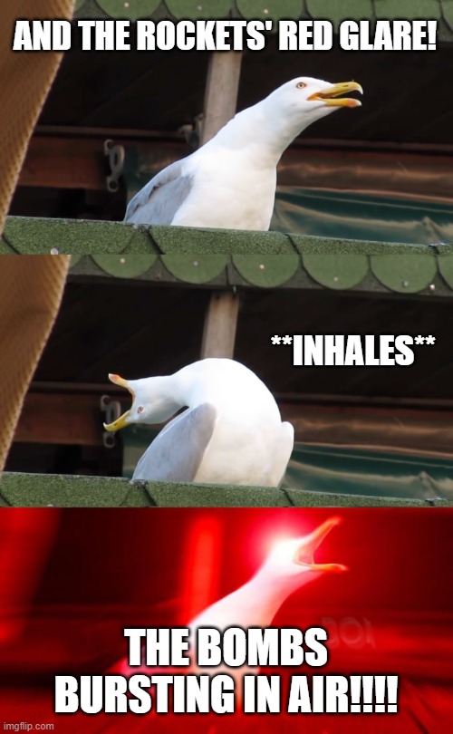 Inhaling seagull | AND THE ROCKETS' RED GLARE! **INHALES**; THE BOMBS BURSTING IN AIR!!!! | image tagged in inhaling seagull | made w/ Imgflip meme maker