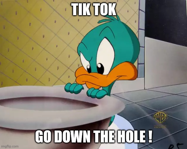 Ducky | TIK TOK GO DOWN THE HOLE ! | image tagged in ducky | made w/ Imgflip meme maker