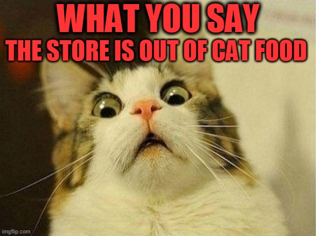 Scared Cat Meme | WHAT YOU SAY; THE STORE IS OUT OF CAT FOOD | image tagged in memes,scared cat | made w/ Imgflip meme maker