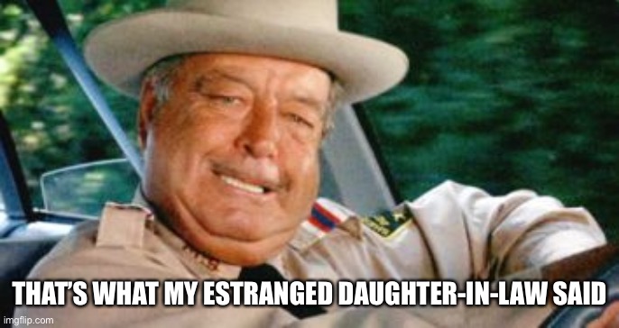 Sheriff Buford T Justice | THAT’S WHAT MY ESTRANGED DAUGHTER-IN-LAW SAID | image tagged in sheriff buford t justice | made w/ Imgflip meme maker