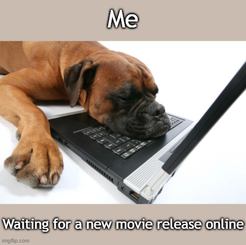 Me thinking of a meme | Me; Waiting for a new movie release online | image tagged in me thinking of a meme | made w/ Imgflip meme maker