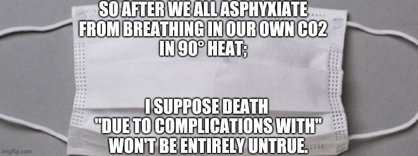 Masking Logic | SO AFTER WE ALL ASPHYXIATE
FROM BREATHING IN OUR OWN CO2
IN 90° HEAT;; I SUPPOSE DEATH
 "DUE TO COMPLICATIONS WITH"
 WON'T BE ENTIRELY UNTRUE. | image tagged in funny memes,masks | made w/ Imgflip meme maker