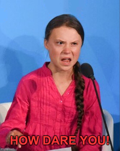 Greta Thunberg how dare you | HOW DARE YOU! | image tagged in greta thunberg how dare you | made w/ Imgflip meme maker