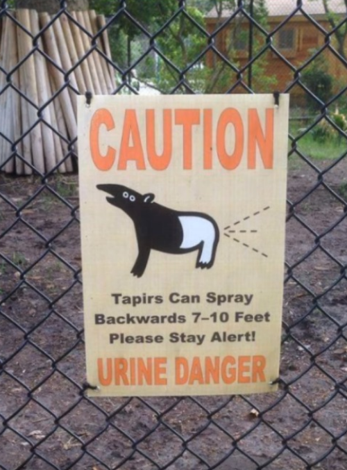 High Quality Urine Danger Blank Meme Template