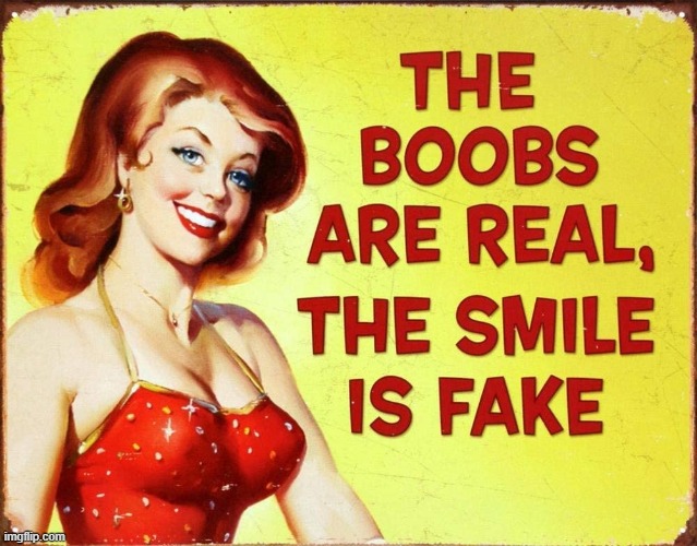 Sometimes it's hard to tell .... | image tagged in boobs,retro,vintage | made w/ Imgflip meme maker