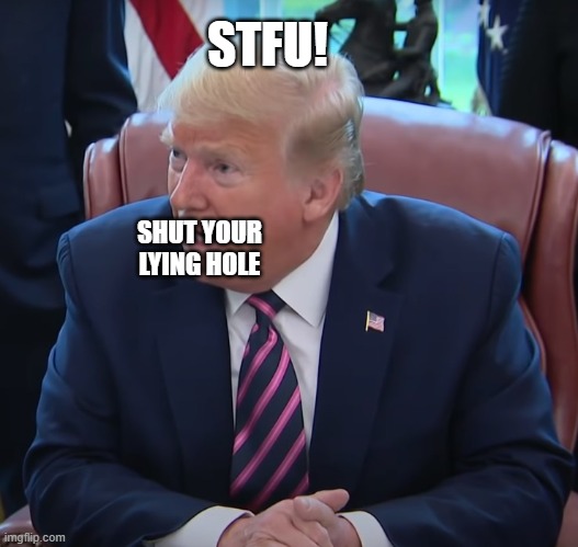 DO NOT INJECT DISINFECTANT | STFU! SHUT YOUR LYING HOLE | image tagged in donald trump is an idiot,coronavirus,corona virus | made w/ Imgflip meme maker
