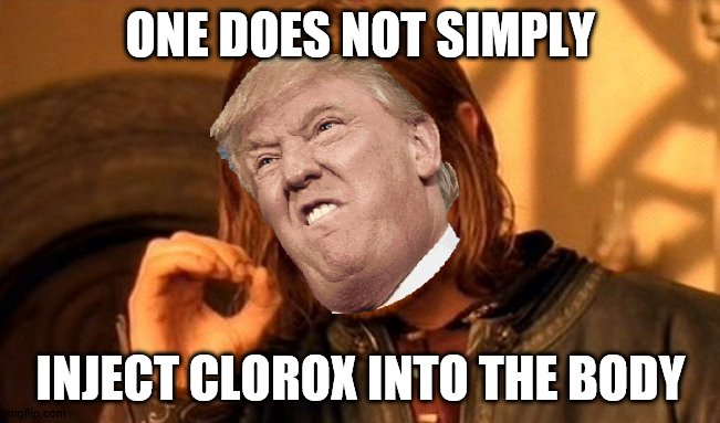 One Does Not Simply | ONE DOES NOT SIMPLY; INJECT CLOROX INTO THE BODY | image tagged in memes,one does not simply | made w/ Imgflip meme maker
