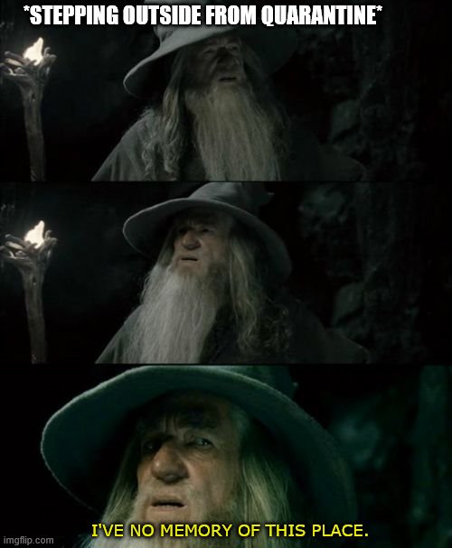 Confused Gandalf Meme | *STEPPING OUTSIDE FROM QUARANTINE*; I'VE NO MEMORY OF THIS PLACE. | image tagged in memes,confused gandalf | made w/ Imgflip meme maker