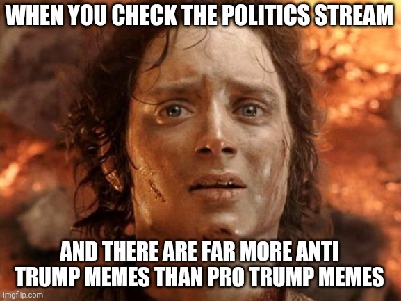 Two days after trump's disinfectant injection comments | WHEN YOU CHECK THE POLITICS STREAM; AND THERE ARE FAR MORE ANTI TRUMP MEMES THAN PRO TRUMP MEMES | image tagged in memes,donald trump is an idiot,trump is a moron,covidiots,the great awakening | made w/ Imgflip meme maker