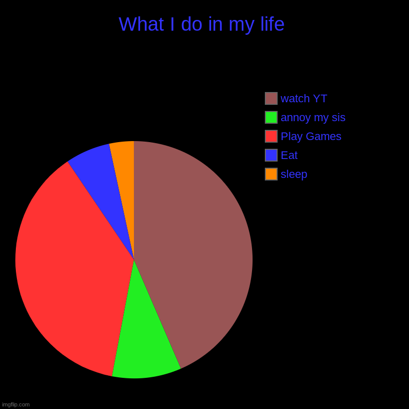 What I Do With My Life | What I do in my life | sleep, Eat, Play Games, annoy my sis, watch YT | image tagged in charts,pie charts | made w/ Imgflip chart maker